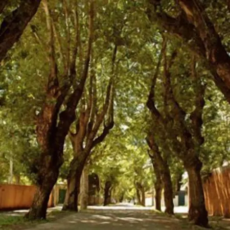 Hotel Roses Village 4*