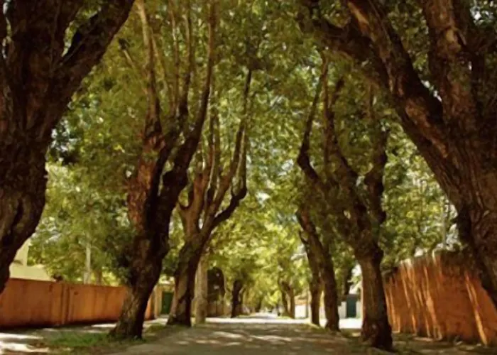 Hotel Roses Village 4*